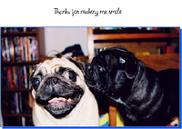 Pug Card 002 is called Thanks for making me smile and features PugSpeak's own Dexter and Trevor.