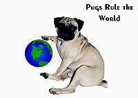 Pug Card 108 is a Fun them and says Pugs Rule the World. Features PugSpeak's own Mackie.
