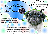 Pug Card 220 is a Fun, Retro theme and says Puggy Bubbles Soap Flakes. Featuring PugSpeak's own Mackie and Trevor.