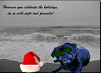 Pug Card 308 is a Holiday theme and says However you celebrate the holidays, do so with style and panache! Featuring PugSpeak's own Trevor.