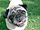 Dexter, Fopunder of PugSpeak Pug and Pet Gifts