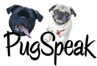 PugSpeak Pug & Pet Gifts - Pug Clocks, Ornaments, and Night Lights